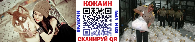 COCAIN Боливия  Купить где  Медынь 