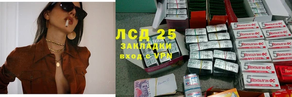 стаф Елабуга