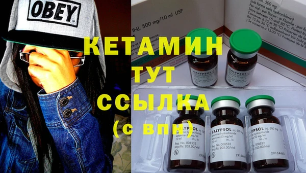 дмт Ельня