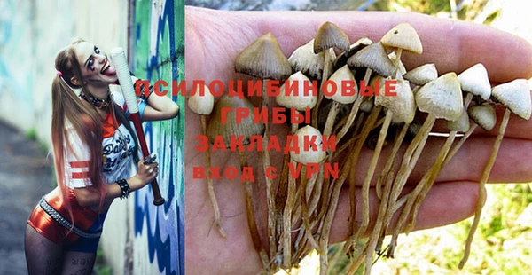 дмт Ельня