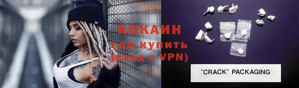 дмт Ельня