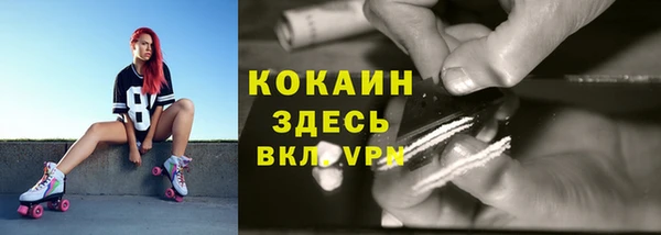стаф Елабуга