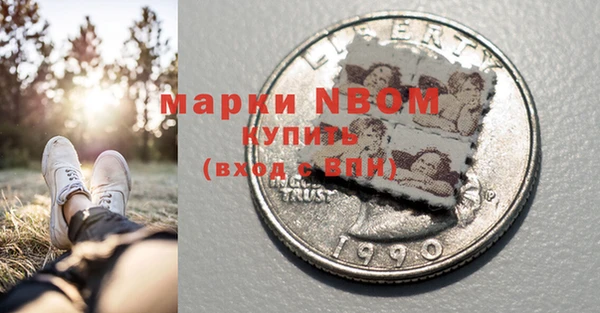дмт Ельня