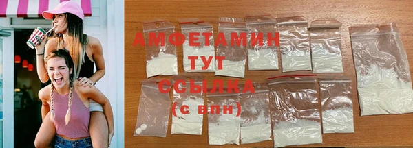 дмт Ельня