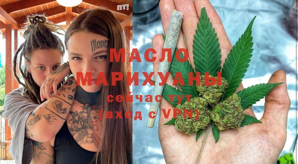 дмт Ельня
