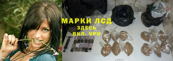 стаф Елабуга