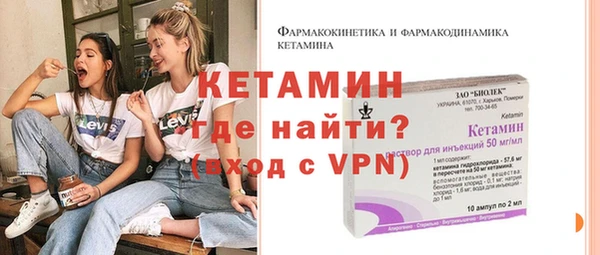 дмт Ельня