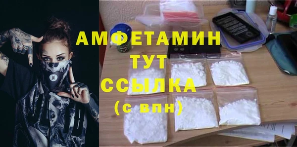 дмт Ельня